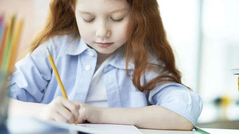 Passer le CAP Accompagnant Éducatif Petite enfance en candidat libre